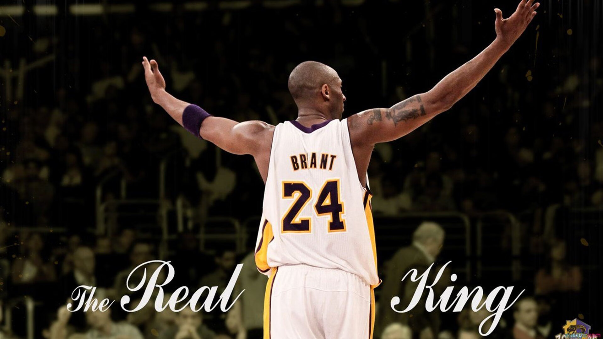 逆转、冷门与绝杀,2026世界杯A组的唯一剧本,没有人能复制